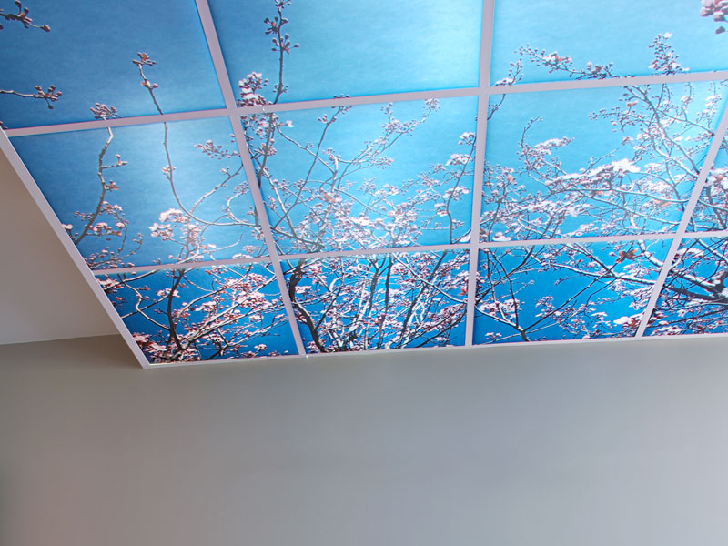 Панели пвх с фото рисунком для потолка
